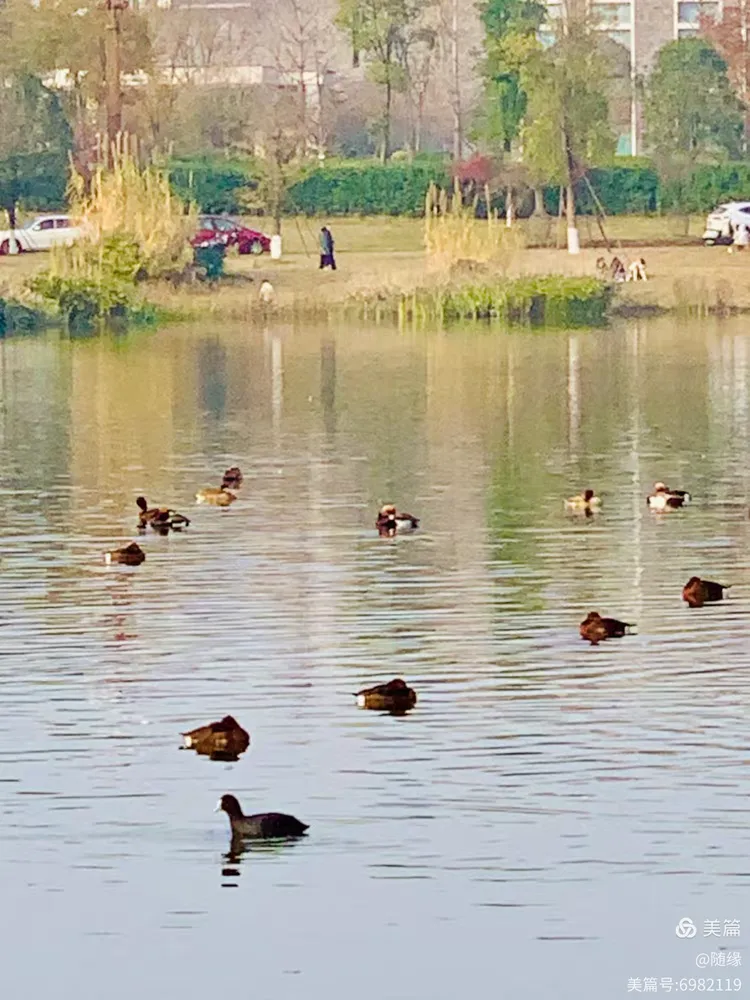 冬日里的和谐画面